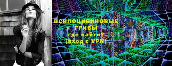 шишки Бородино